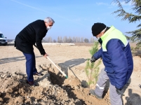 OSB Mesleki ve Teknik Lisesinde fidan dikimi gerçekleşti